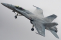 McDonnell Douglas F-18C Hornet